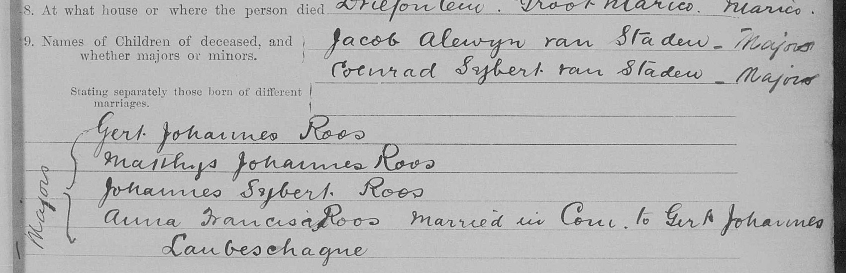 Question nine: Jacob Alewyn van Staden and Coenrad Sybert van Staden, majors; Gert Johannes Roos, Matthys Johannes Roos, Johannes Sybert Roos, Anna Francisa Roos, majors.